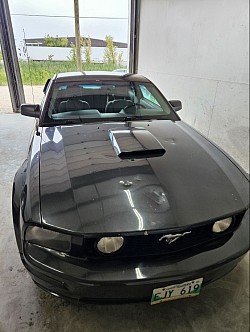 Mustang